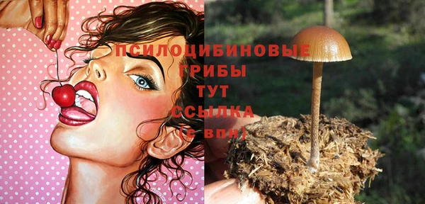 прущие крисы Красноперекопск