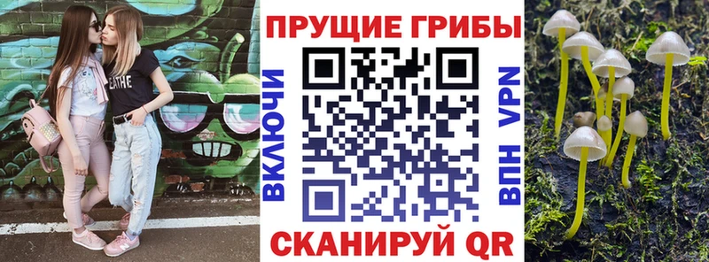 Купить  Советская Гавань  Псилоцибиновые грибы GOLDEN TEACHER 