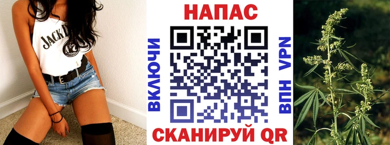 Купить закладки  Советская Гавань  Каннабис White Widow 